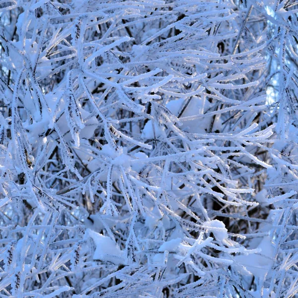 Hoar Brunches Fondo Sin Costuras Invierno Frío Repitiendo Textura — Foto de Stock