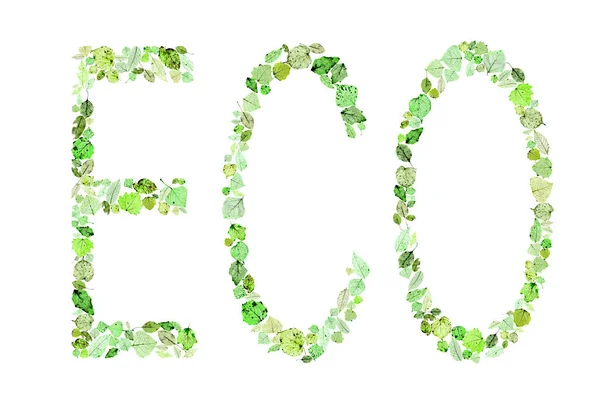 Folhagem Folhas Verdes Tessellation Eco Symbol Eco Friendly Mosaic Foliage — Fotografia de Stock