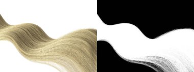 Blonde Wavy Hair Extension Isolated Texture - Fair Locks with Alpha Channel - Long Hairpiece 3d Model Rendering Background Illustration  clipart