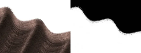 Brown Frizzle Hair Isolated Texture Dark Locks Waves Clipping Mask — 스톡 사진