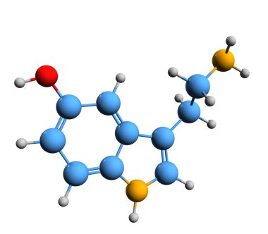 Serotonin iskelet formülünün 3 boyutlu görüntüsü - beyaz arkaplanda 5-HT veya Enteramine 'in moleküler kimyasal yapısı izole edilmiş