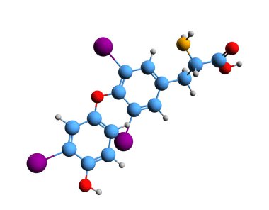 Triyodotironin iskelet formülünün 3 boyutlu resmi - beyaz arkaplanda izole edilmiş tiroid hormonu T3 'ün moleküler kimyasal yapısı