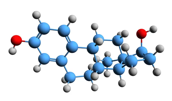 Beeld Van Oestradiol Skelet Formule Moleculaire Chemische Structuur Van Oestrogeen — Stockfoto