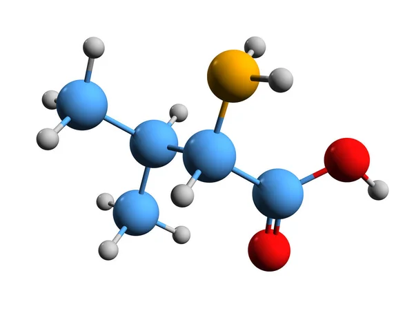 Image Valine Skeletal Formula Molecular Chemical Structure Aminomethylbutanoic Amino Acid — ストック写真