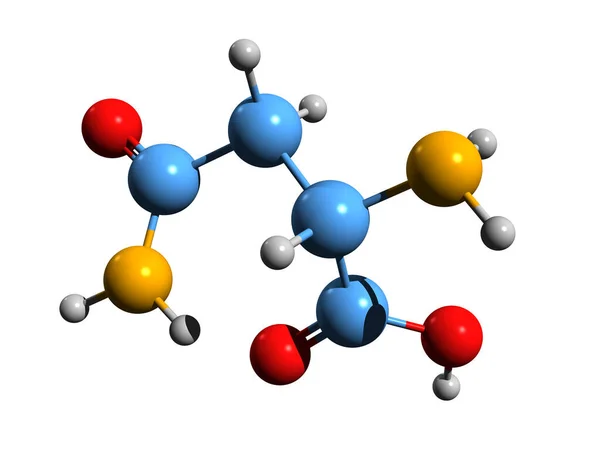 Beeld Van Asparagine Skelet Formule Moleculaire Chemische Structuur Van Aminocarbamoylpropaan — Stockfoto