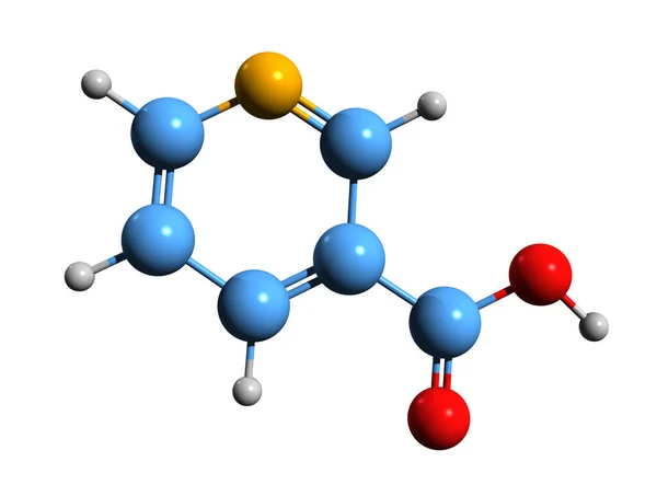 Bild Nikotinsyra Skelettformel Molekylär Kemisk Struktur Niacin Eller Vitamin Isolerad — Stockfoto