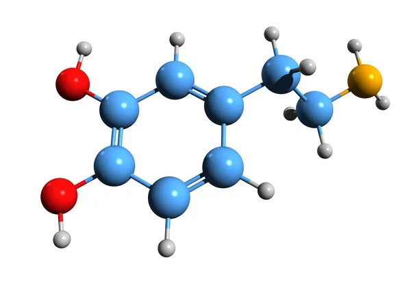 Aufnahme Der Dopamin Skelettformel Molekulare Chemische Struktur Von Oxytyramin Isoliert — Stockfoto