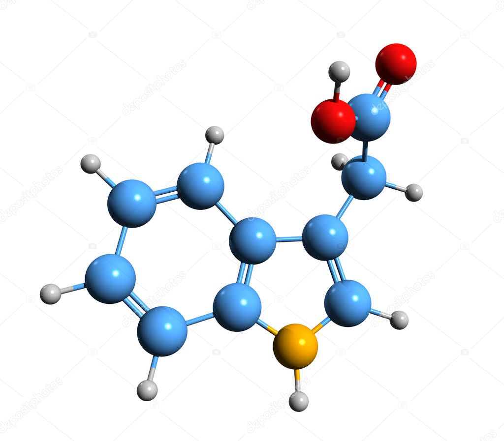 3D image of indoleacetic acid skeletal formula - molecular chemical structure of IAA isolated on white background