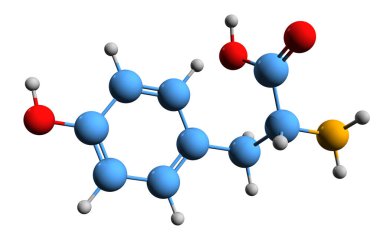 Tyrosine iskelet formülünün 3 boyutlu görüntüsü - beyaz arka planda izole edilmiş 4-hidroksifenilalanin moleküler kimyasal yapısı