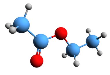 Etil asetat iskelet formülünün 3 boyutlu görüntüsü - beyaz arka planda izole edilmiş etil etanoatın moleküler kimyasal yapısı