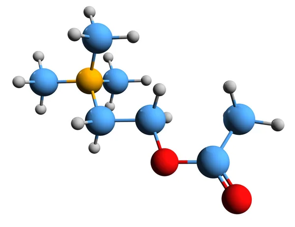 Beeld Van Acetylcholineskeletformule Moleculaire Chemische Structuur Van Neurotransmitter Ach Geïsoleerd — Stockfoto