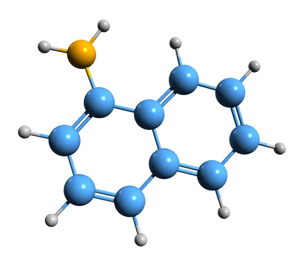 Imagen Naphthylamine Skeletal Formula Estructura Química Molecular Aminonaphthalene Aislada Sobre — Foto de Stock