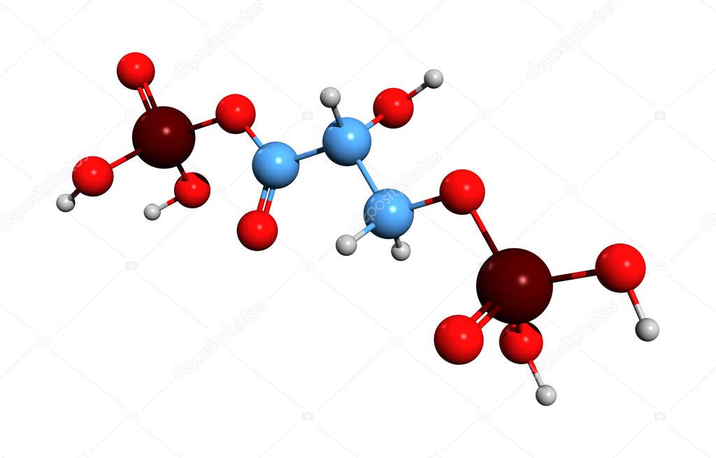 3D image of 1,3-diphosphoglycerate skeletal formula - molecular chemical structure of BPG isolated on white background