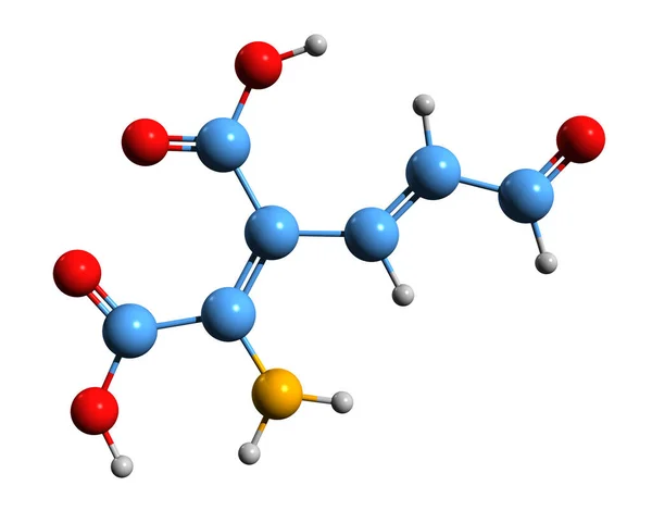 Aufnahme Der Amino Carboxymukonischen Halbaldehyd Skelettformel Molekulare Chemische Struktur Von — Stockfoto