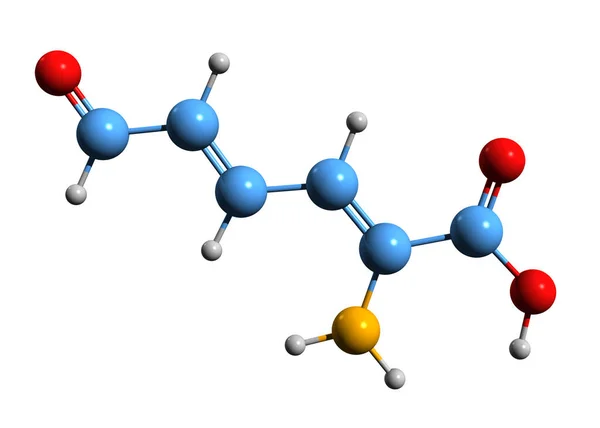 Aminomuconic半醛骨架公式的三维图像 白底分离色氨酸代谢物的分子化学结构 — 图库照片