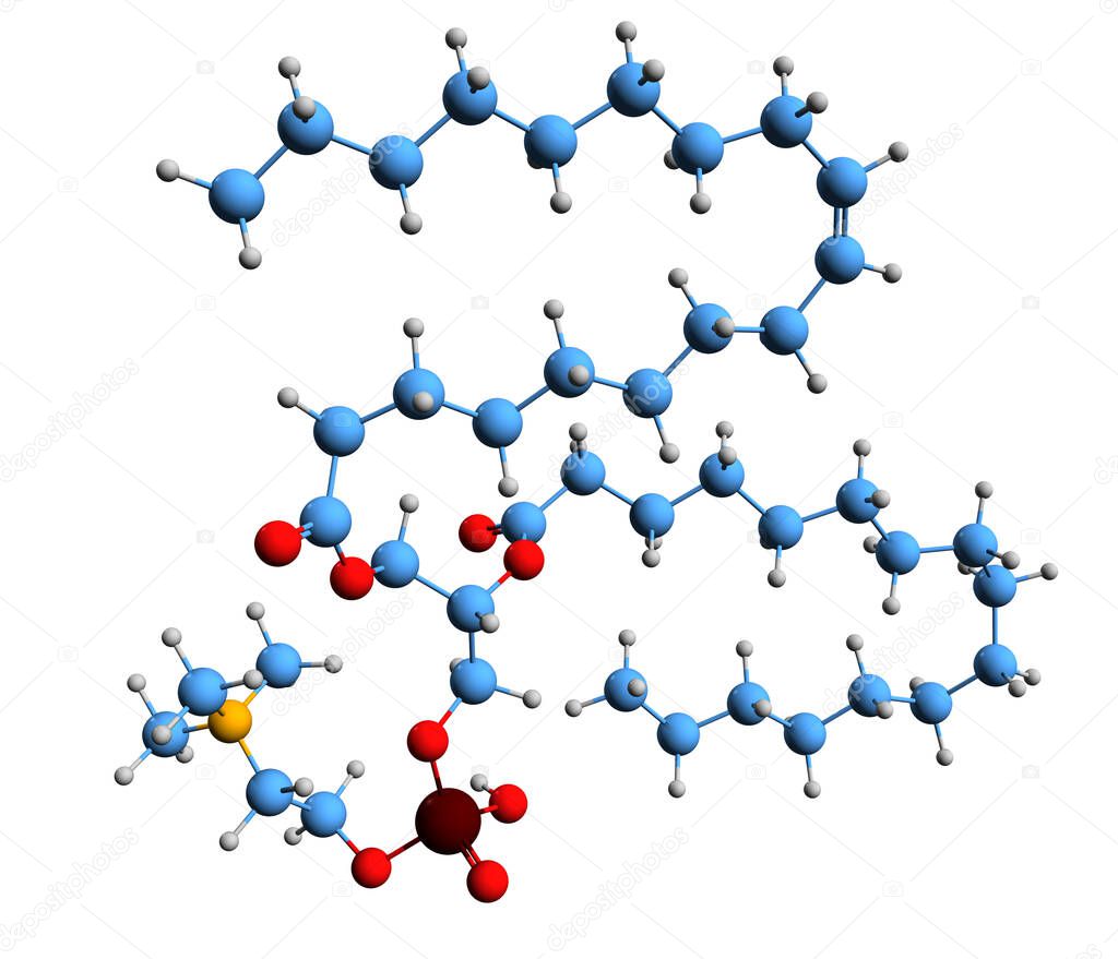 3D image of 1-Oleoyl-2-palmitoyl-phosphatidylcholine skeletal formula - molecular chemical structure of phosphatidylcholine  isolated on white background