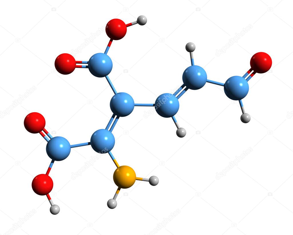 3D image of 2-Amino-3-carboxymuconic semialdehyde skeletal formula - molecular chemical structure of intermediate in the metabolism of tryptophan isolated on white background