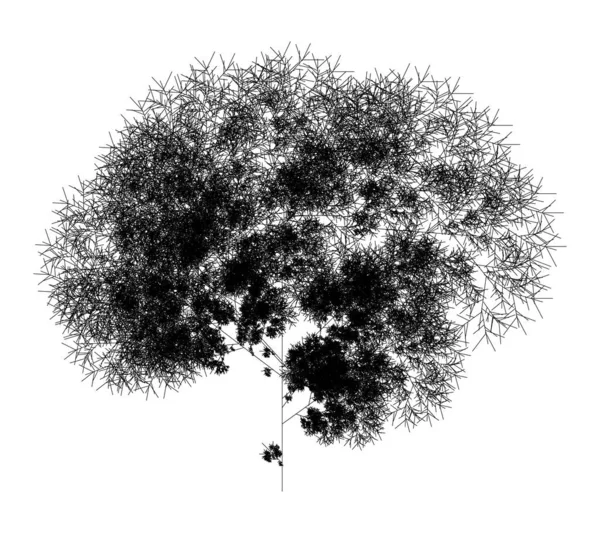 Düz Vektör Bilgisayar Oluşturulmuş Sistem Fraktal Ağacı Üretici Sanat — Stok Vektör