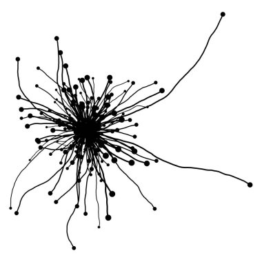 Vektör Dallı Mantar Mycorrhiza