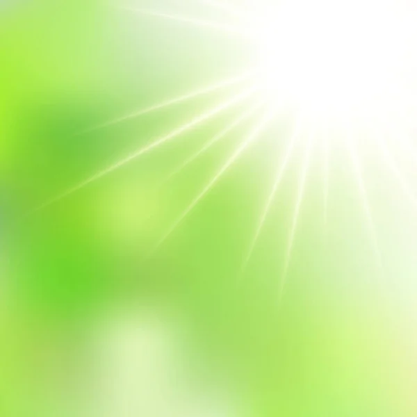 Spring Green Sunshine Soft Focus Burst Vektor Rozmazané Zářivé Sluneční — Stockový vektor