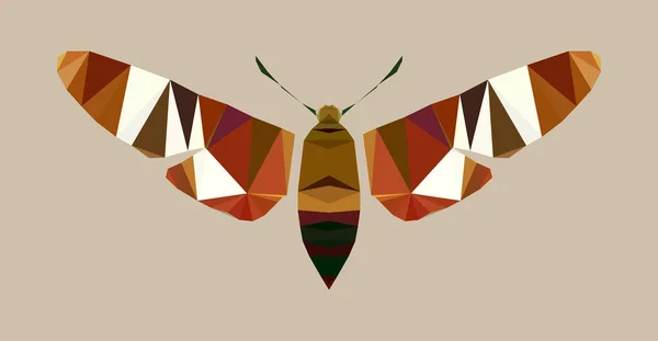 Багатокутна Модель Moth Векторні Ізольовані Нічні Ікони — стоковий вектор