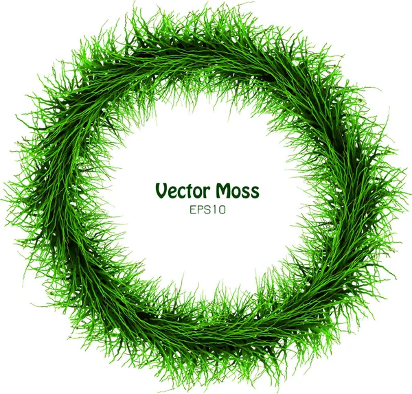 Vector Seaweed Garland Rodada Isolado Vegetative Grass Cadre Herb Green — Vetor de Stock
