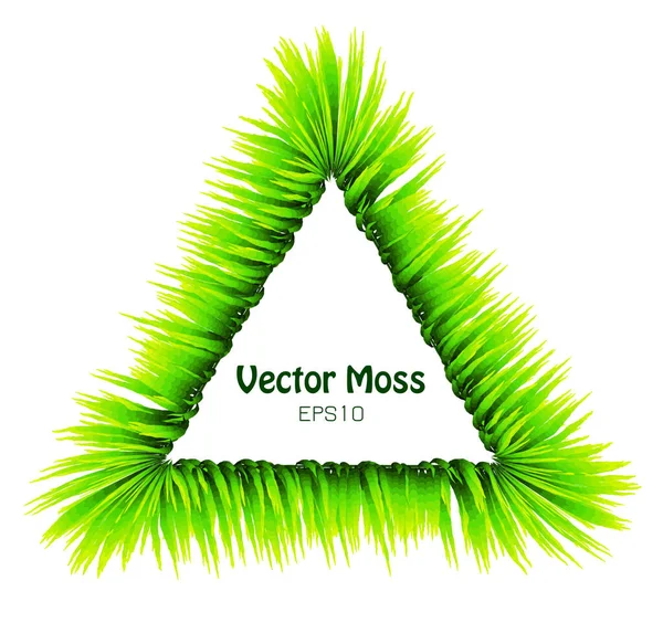 Folha Bambu Vetorial Banner Musgo Quadro Floral Isolado Triangular Conceito — Vetor de Stock