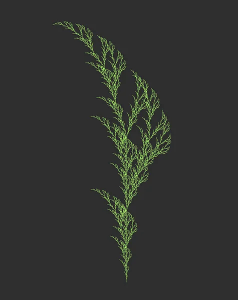 Conception Vectorielle Récursion Des Mauvaises Herbes Modèle Mathématique Système Semblable — Image vectorielle