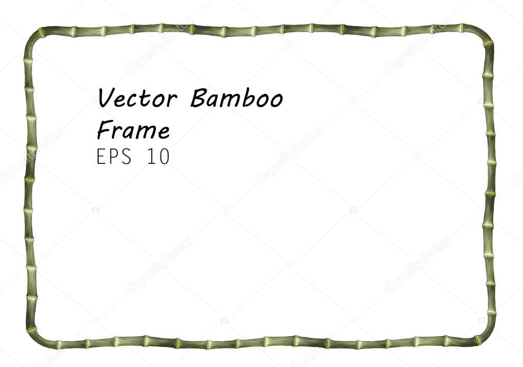 Rectangular Thin Bamboo Frame -  Realistic Vector Green Banner Isolated on White Background