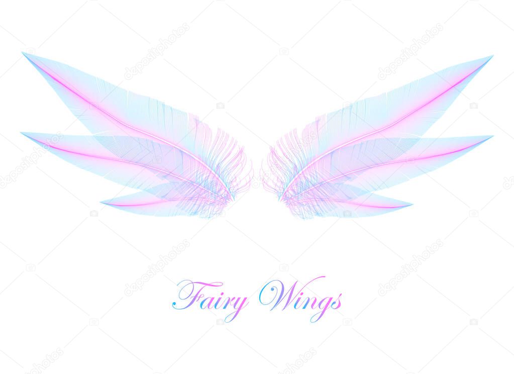 Pink and Blue Wings - Magic Elfin Wings - Concept Vector Design Isolated on White