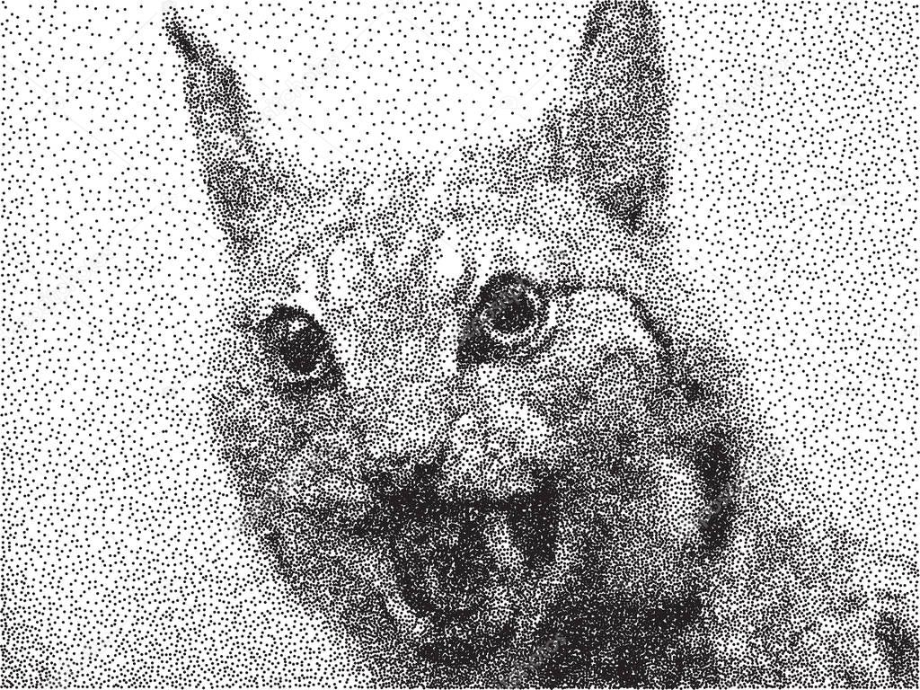 Stippled Lynx Head    - vector illustration 