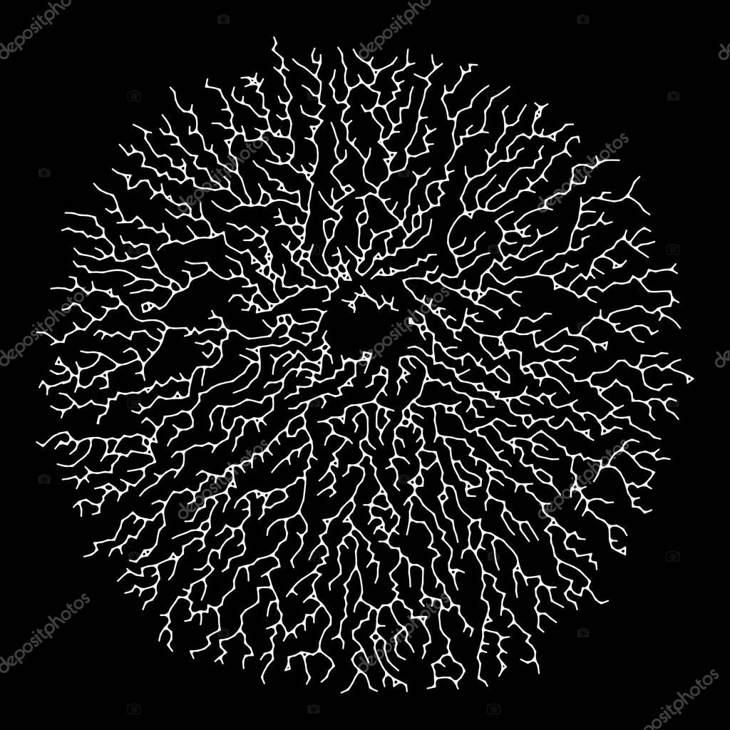 Lichen Form for Design Project - vector illustration