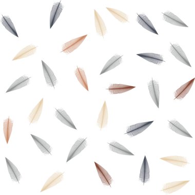 Sürekli tüy deseni - vektör illüstrasyonu 