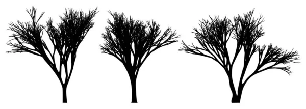 Black Bare Tree Vector Illustration — Stock Vector