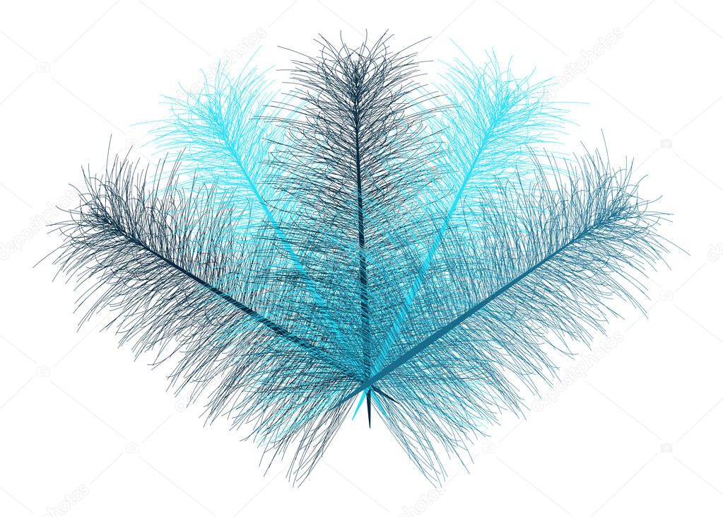 Transparent feathers fan   - vector illustration 