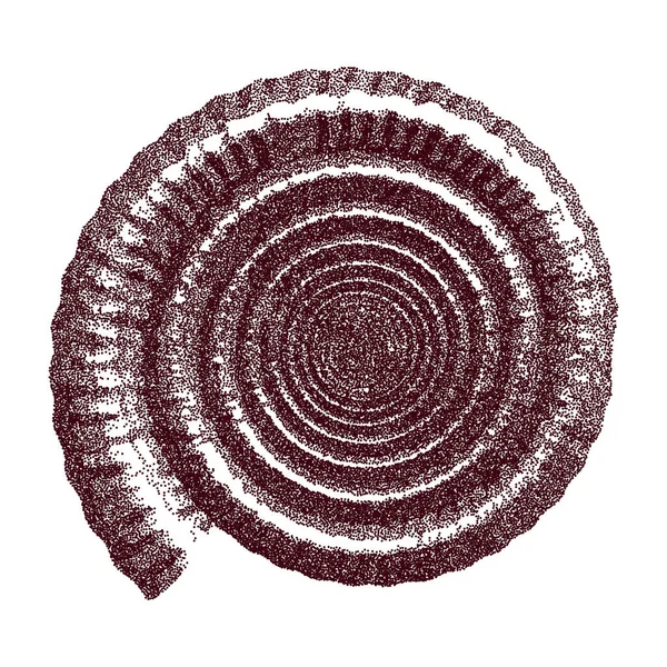 Prickig Ammonite Shell Vektor Illustration — Stock vektor