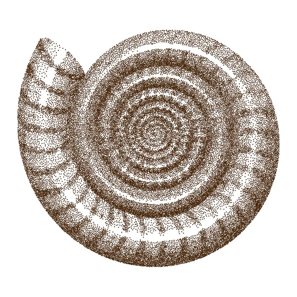 Doted Ammonite Shell Vektorbelysning — Stock vektor