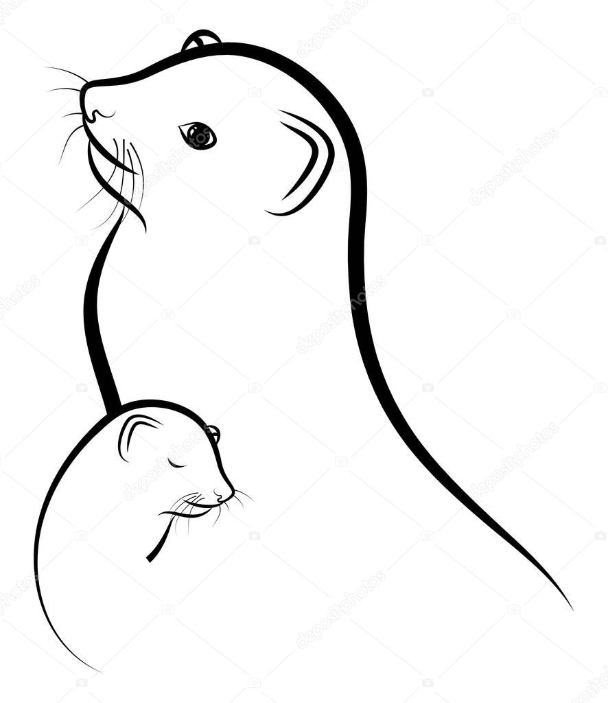 Cute ferret with baby - vector illustration 