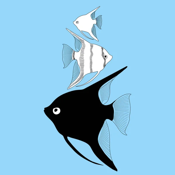 Vector Peces Acuario Angelfish — Archivo Imágenes Vectoriales