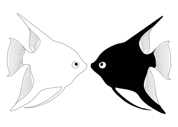 Vector Peces Acuario Angelfish — Archivo Imágenes Vectoriales