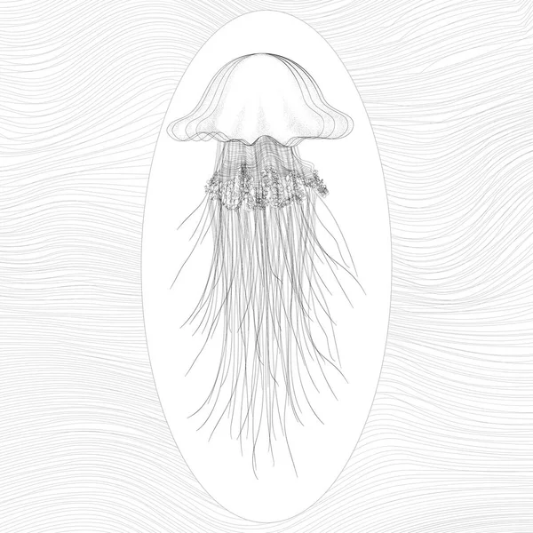 Meduse Oceaniche Delicate Vettoriali — Vettoriale Stock