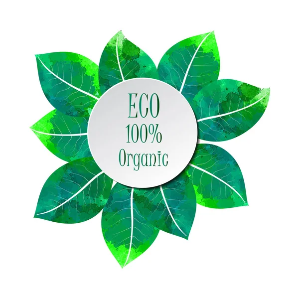 Eco 100 Orgânico Verde Vetor Aquarela Folhagem Redondo Modelo —  Vetores de Stock