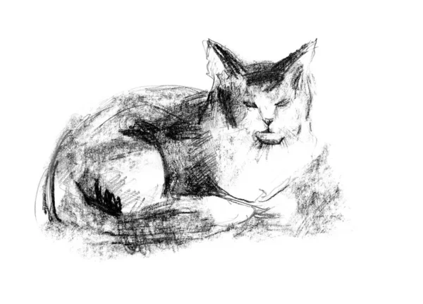 Dibujo Dibujado Mano Del Gato Reposo — Foto de Stock