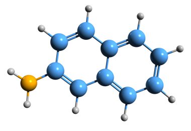 2-Naphthylamine iskelet formülünün 3 boyutlu resmi - beyaz arkaplanda izole edilmiş Naphthalen-2-amin moleküler kimyasal yapısı