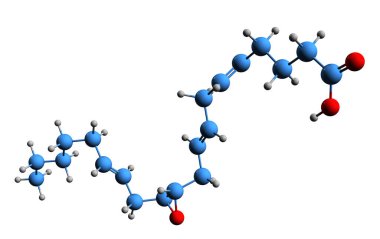 11.12-Epoxyeicosatrienoic asit iskelet formülünün 3 boyutlu görüntüsü - beyaz arkaplanda 11.12-Eet 'in moleküler kimyasal yapısı