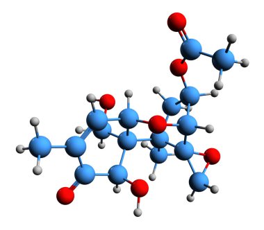 3-D görüntü 3-Asetiloksinivalenol iskelet formülü - mikotoksin Deoksinivalenol monoasetatın moleküler kimyasal yapısı beyaz arka planda izole edildi
