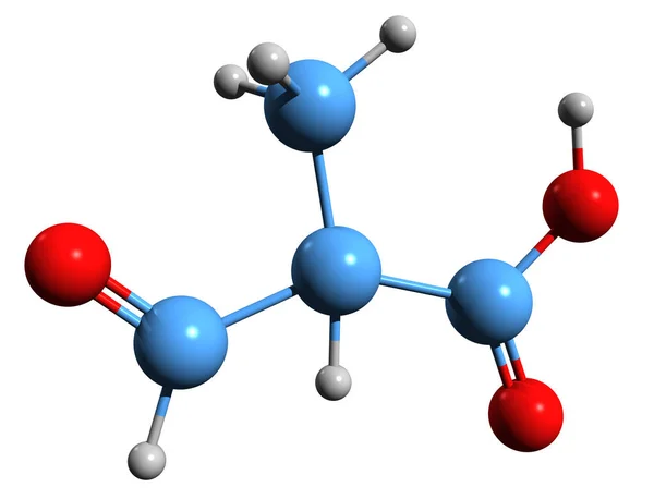 Aufnahme Der Methyl Oxopropansäure Skelettformel Molekulare Chemische Struktur Von Methylmalonat — Stockfoto