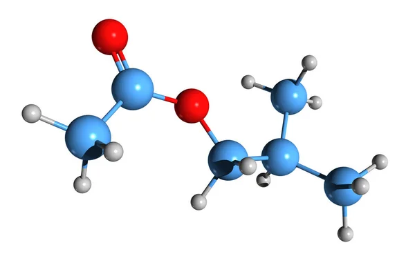 乙酸异丁酯骨架的三维图像 白底分离2 甲基丙基乙酸酯的分子结构 — 图库照片