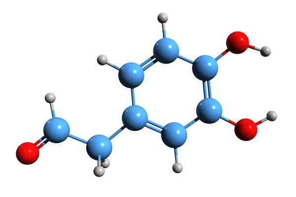 Aufnahme Der Dihydroxyphenylacetaldehyd Skelettformel Molekularchemische Struktur Von Dopaldehyd Isoliert Auf — Stockfoto