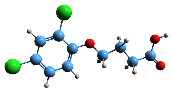 Imagen Fórmula Esquelética Ácido Butírico Diclorofenoxi Estructura Química Molecular Aislada — Foto de Stock